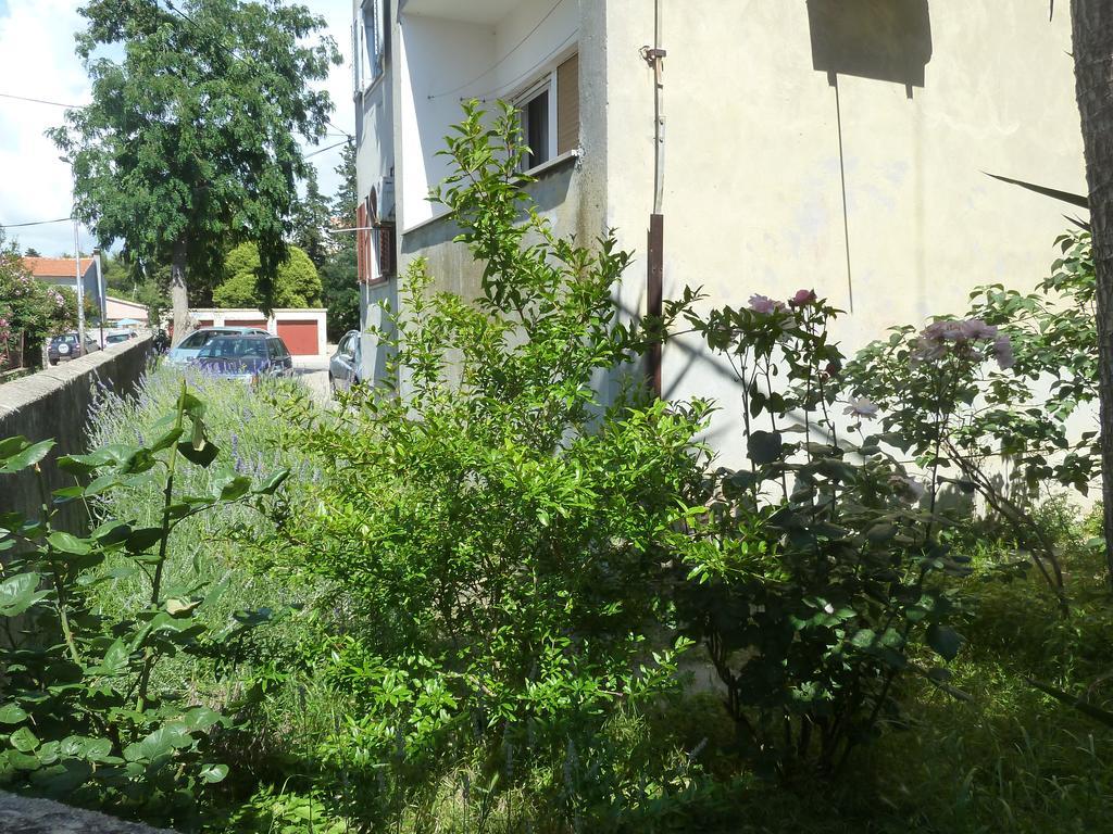 Apartment Marina Задар Екстериор снимка